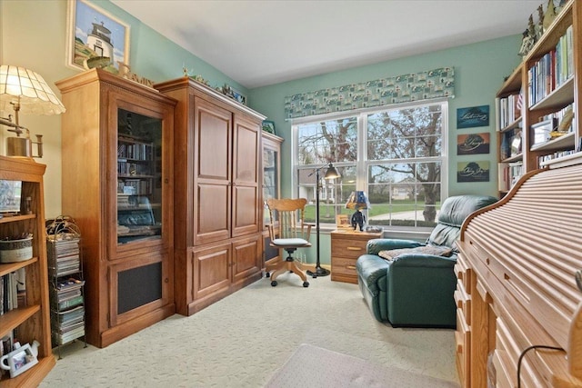 sitting room with carpet