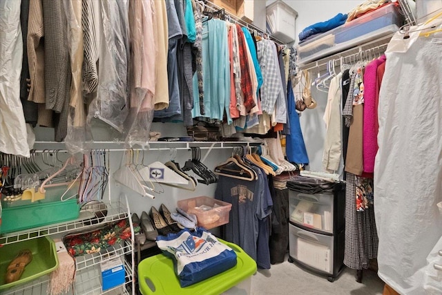 view of walk in closet