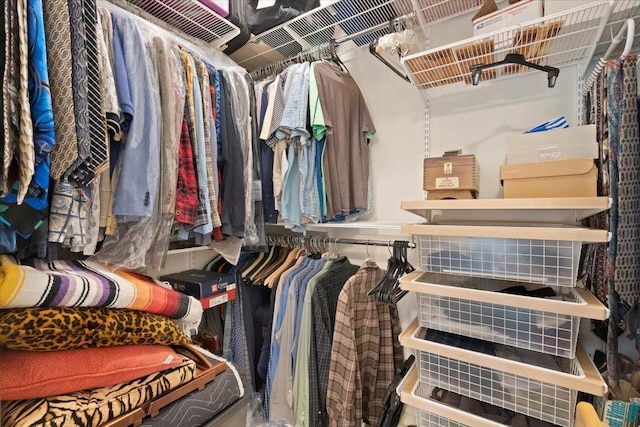 view of walk in closet