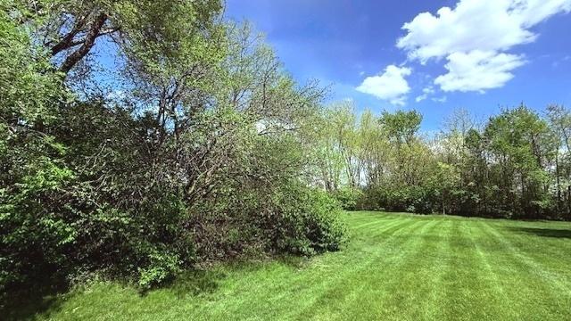 view of yard with a forest view