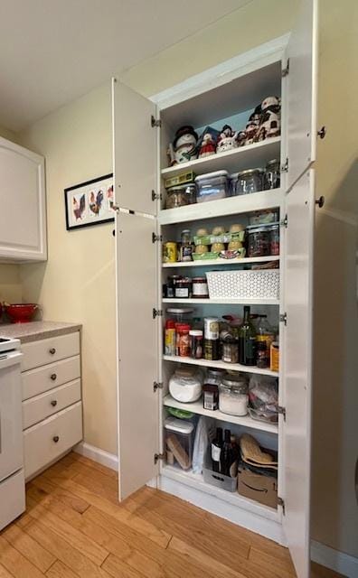 view of pantry