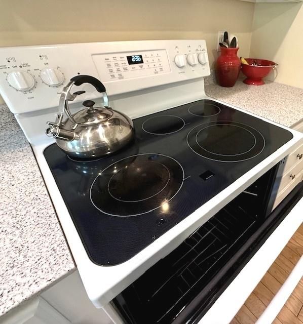 details with electric stove and light countertops