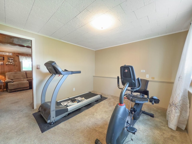 workout room with carpet flooring and ornamental molding