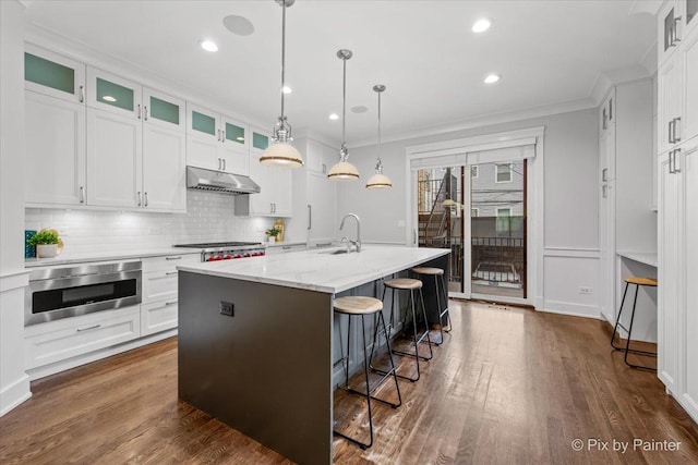 kitchen featuring ornamental molding, dark wood-type flooring, under cabinet range hood, a sink, and backsplash