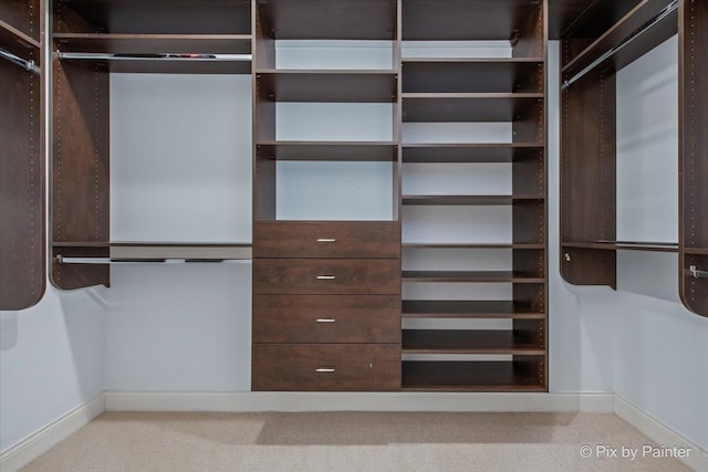 spacious closet featuring carpet floors