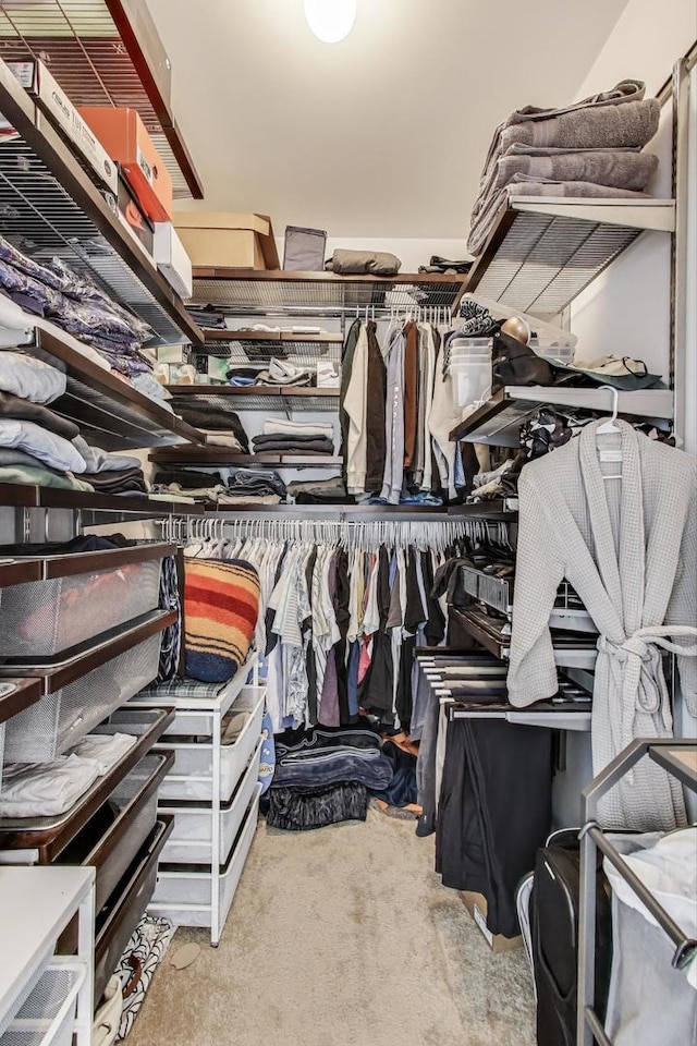walk in closet featuring carpet