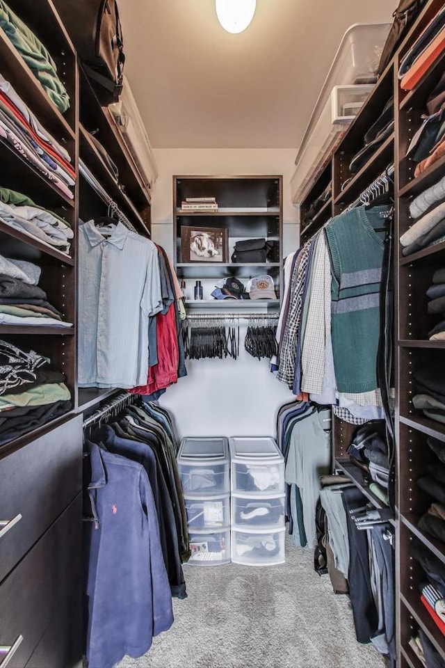 walk in closet featuring carpet
