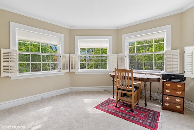 283 Ridge Ave, Winnetka, IL 60093 - office space with carpet flooring, healthy amount of natural light, crown molding, and baseboards