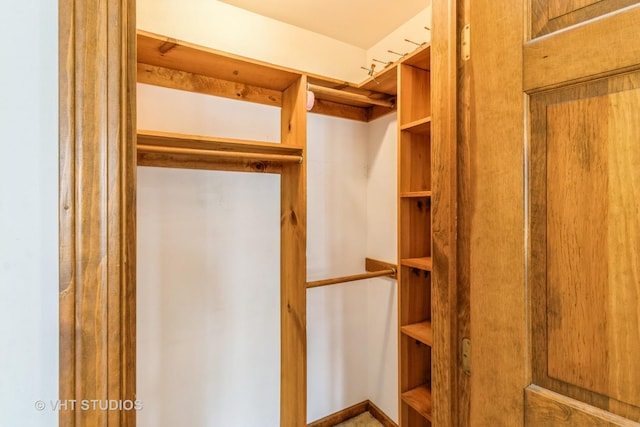 2339 N James Ct, Arlington Heights, IL 60004 - view of walk in closet