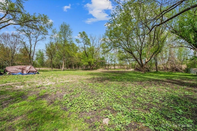 2381 Elm Rd, West Chicago, IL 60185 - view of yard