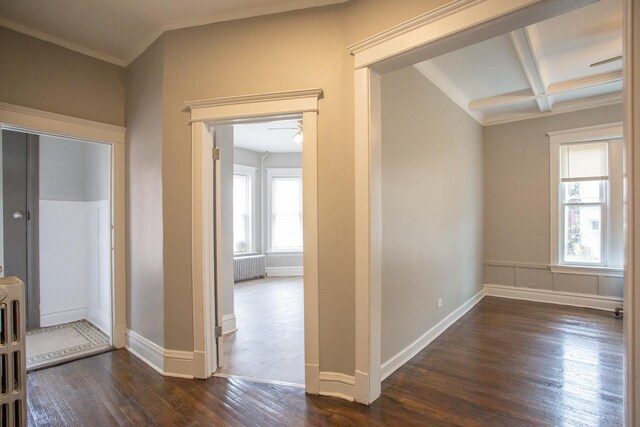 hallway with dark wood finished floors, radiator, ornamental molding, baseboards, and beam ceiling