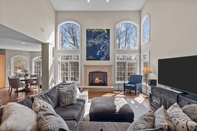 living room featuring a healthy amount of sunlight, wood finished floors, and a towering ceiling