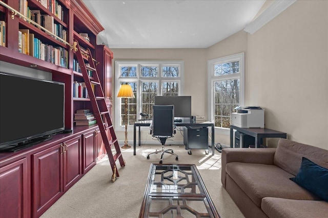 office featuring carpet flooring