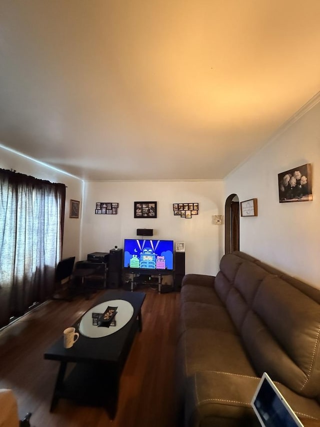 1004 Nowell Ave, Joliet, IL 60433 - living room featuring arched walkways and wood finished floors