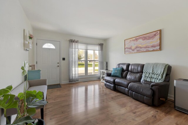 living area with wood finished floors
