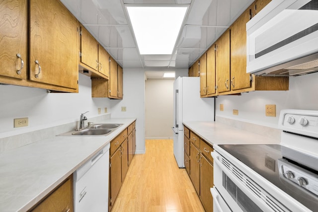 2900 Maple Ave Unit 5A, Downers Grove, IL 60515 - kitchen featuring a sink, brown cabinets, light wood-style floors, and white appliances