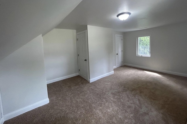 additional living space with baseboards, carpet, and vaulted ceiling