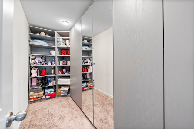 walk in closet with carpet floors