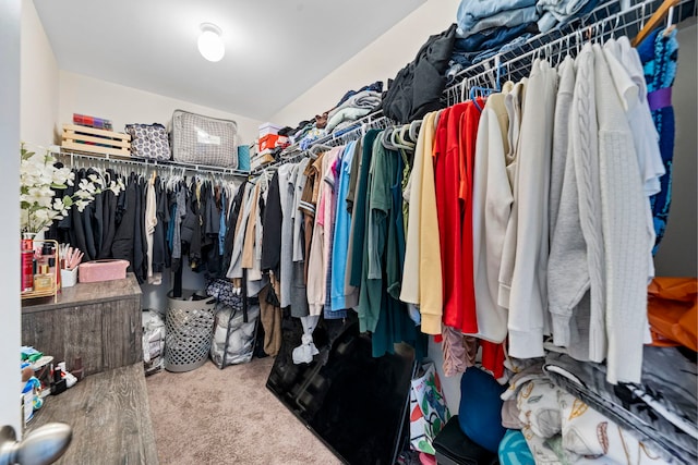 walk in closet featuring carpet floors