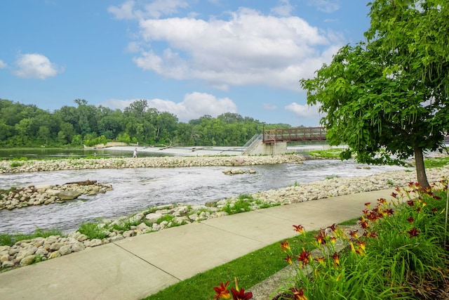 view of home's community with a view of trees and a water view