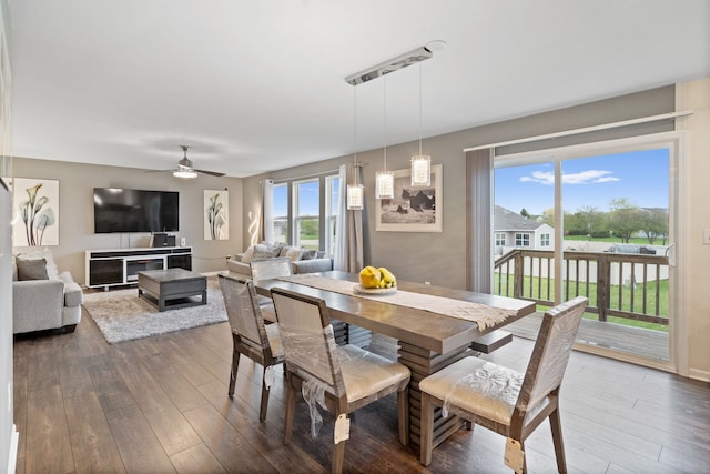 dining space featuring plenty of natural light, ceiling fan, and dark wood-style floors