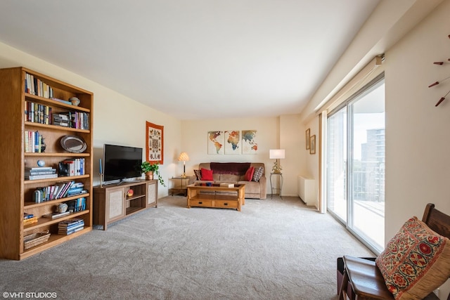 7033 N Kedzie Ave Unit 914, Chicago, IL 60645 - view of carpeted living room