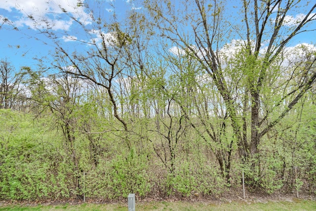 13083 Timber Ct, Palos Heights, IL 60463 - view of landscape featuring a wooded view