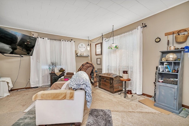5203 W Court St, Monee, IL 60449 - carpeted living area featuring baseboards