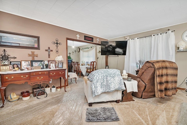 5203 W Court St, Monee, IL 60449 - carpeted living room featuring ornamental molding