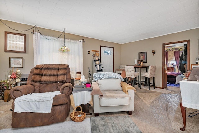 5203 W Court St, Monee, IL 60449 - living area with carpet floors
