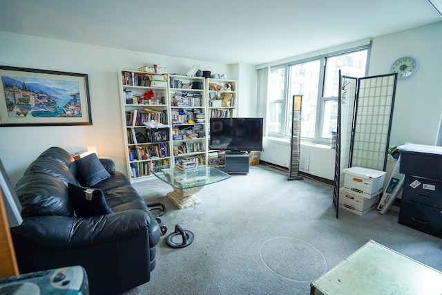 400 E Randolph St Unit 906, Chicago, IL 60601 - view of carpeted living area