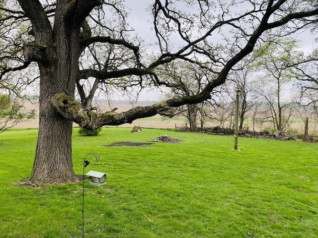 view of community featuring a yard