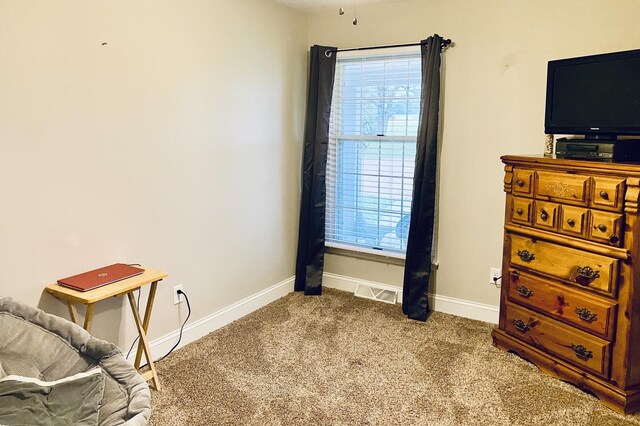 interior space featuring a healthy amount of sunlight, carpet floors, and baseboards
