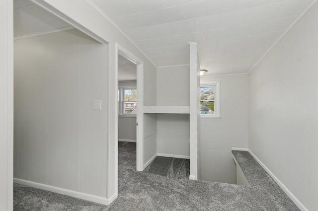 interior space with carpet floors, crown molding, and baseboards