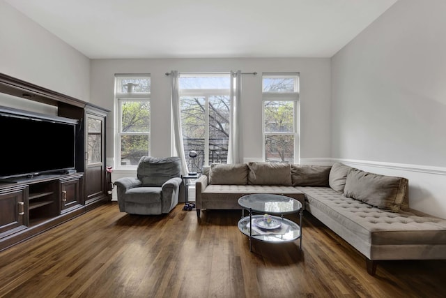 1455 S Halsted St, Chicago, IL 60607 - living room with dark wood-type flooring