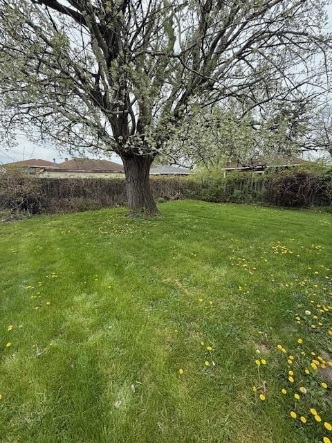1304 Price Ave, Calumet City, IL 60409 - view of yard