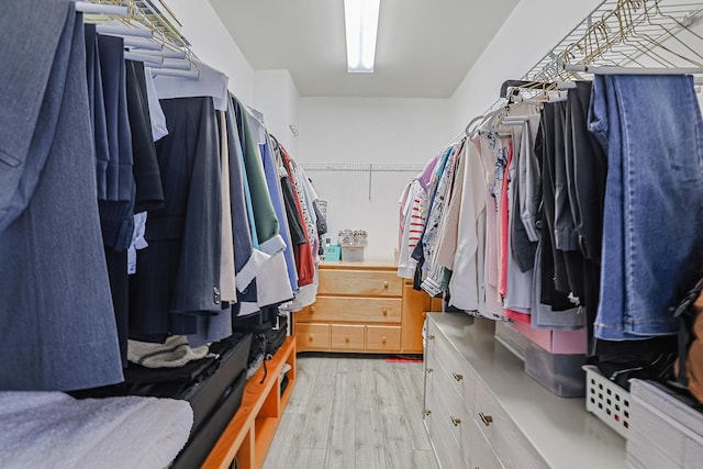 77 S Evergreen Ave Unit 1004, Arlington Heights, IL 60005 - spacious closet with light wood-style flooring