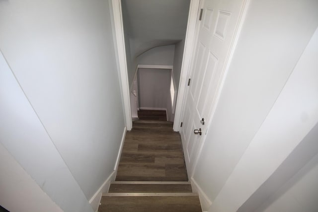 stairs featuring baseboards and wood finished floors
