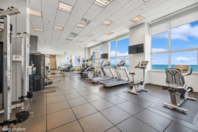 1917 S Calumet Ave, Chicago, IL 60616 - workout area featuring plenty of natural light and a paneled ceiling