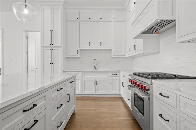 kitchen featuring high end stove, a sink, white cabinetry, tasteful backsplash, and light wood finished floors