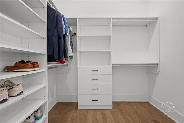 walk in closet featuring wood finished floors