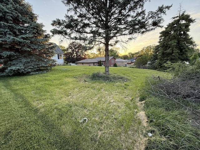 106 Kazwell St, Willow Springs, IL 60480 - view of green lawn