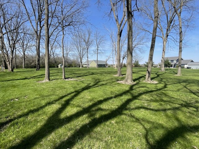 309 1st St S, Kappa, IL 61738 - photo 3