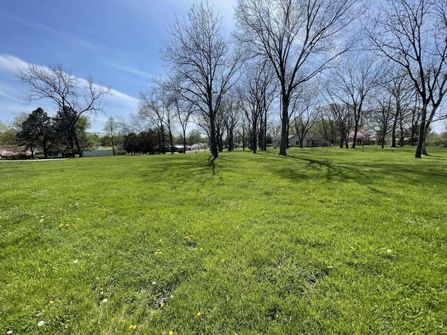 309 1st St S, Kappa, IL 61738 - photo 8