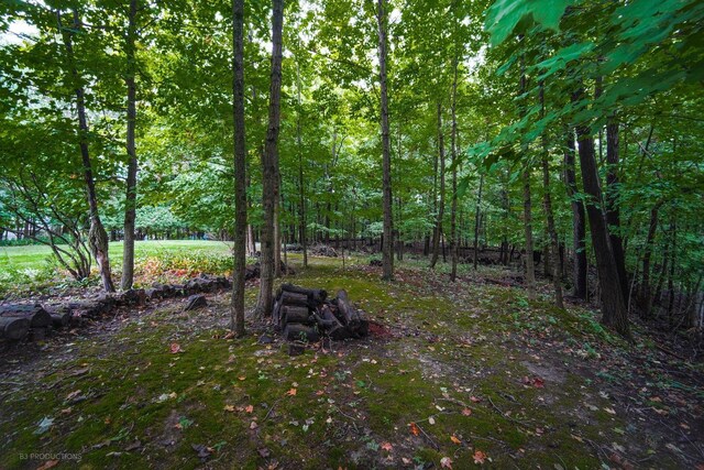 832 Ironwood Dr, Frankfort, IL 60423 - view of yard with a wooded view