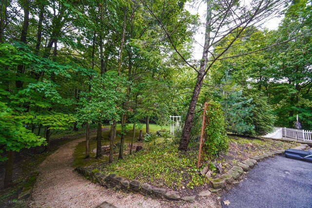 832 Ironwood Dr, Frankfort, IL 60423 - view of yard