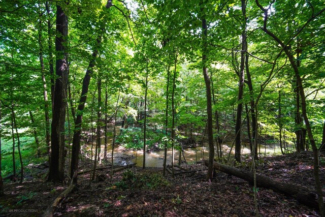 832 Ironwood Dr, Frankfort, IL 60423 - view of local wilderness