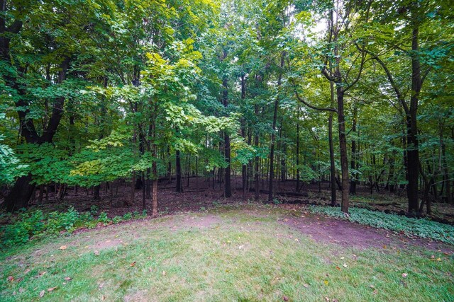 832 Ironwood Dr, Frankfort, IL 60423 - view of grassy yard with a forest view