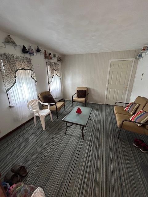 19364 US Highway 34, Princeton, IL 61356 - view of carpeted living area