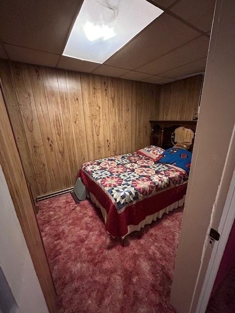 19364 US Highway 34, Princeton, IL 61356 - bedroom featuring a drop ceiling, carpet flooring, and wooden walls